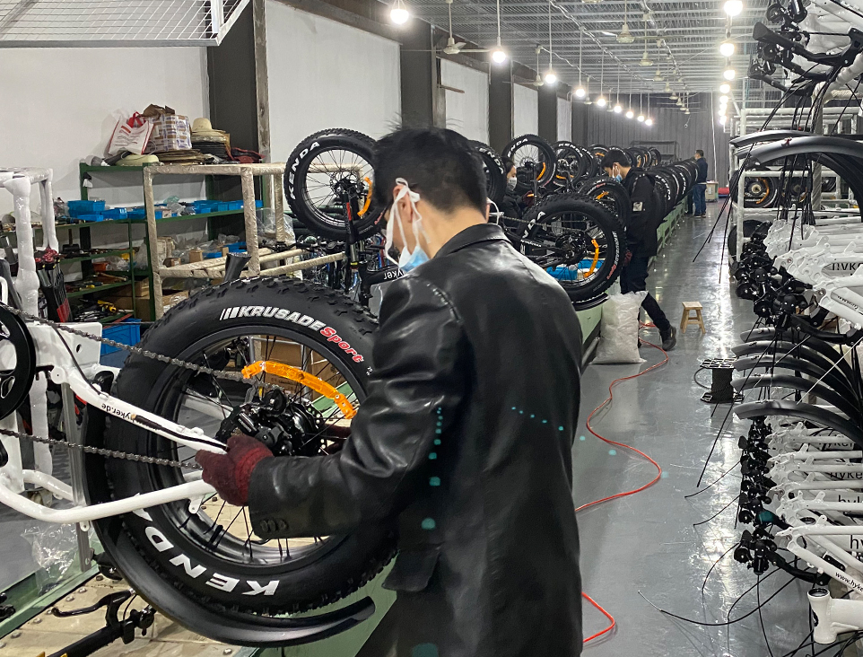 Electric bikes from the Freepath production range